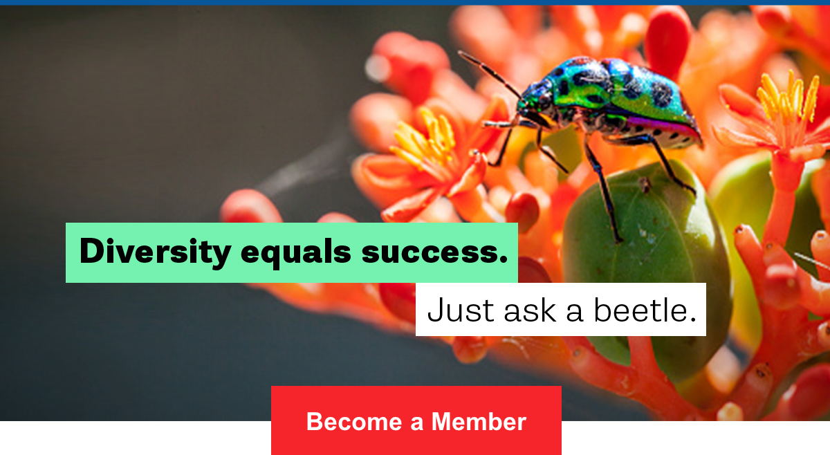 Diversity equals success.