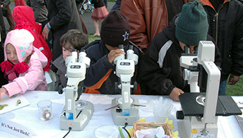 children looking through microscopes