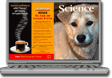 Science Digital on Laptop