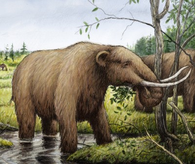 Mammoth
