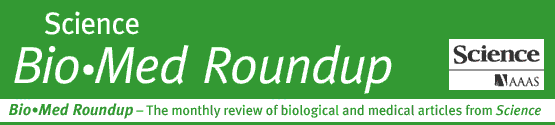 Bio-Med Roundup July 2006